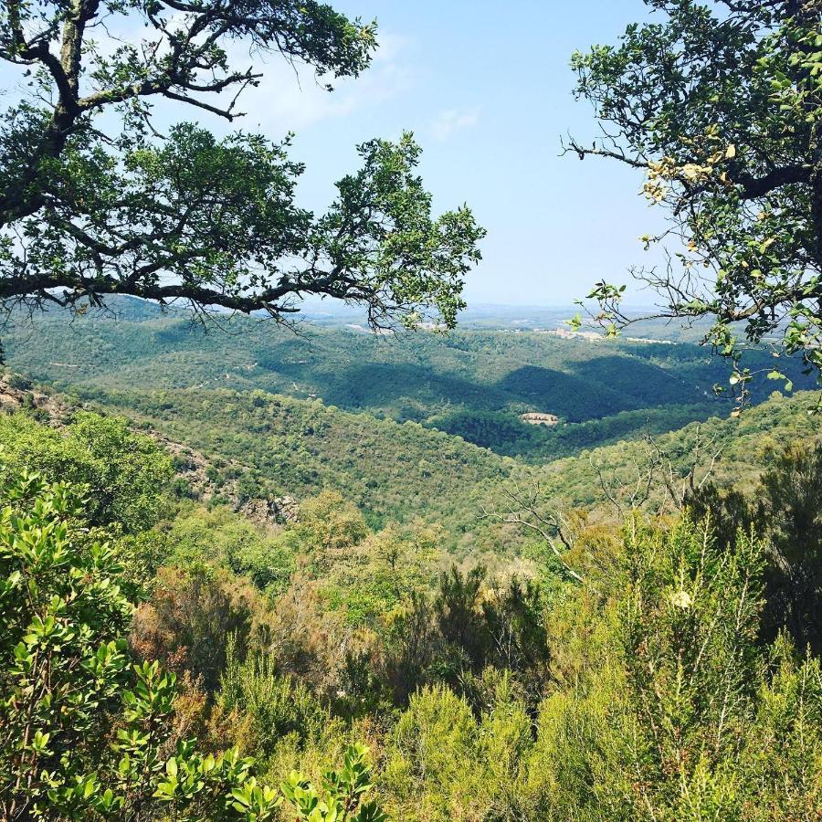 Готель Mas Oms Montnegre Екстер'єр фото