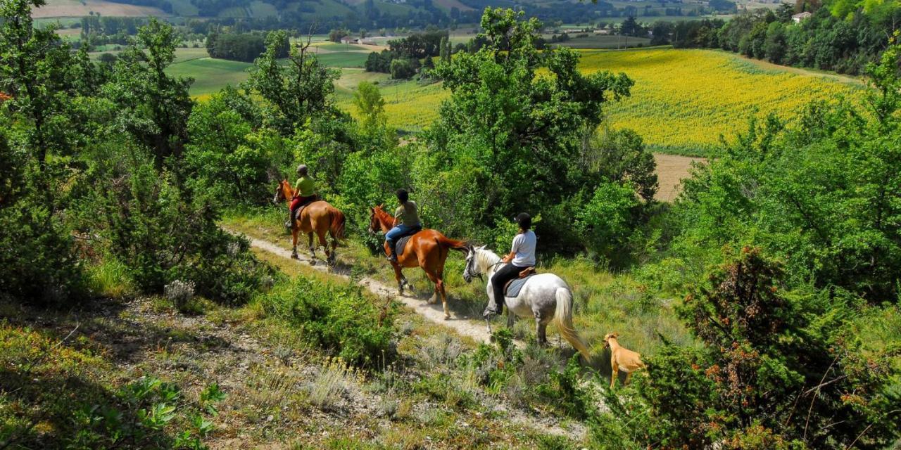 Готель Mas Oms Montnegre Екстер'єр фото